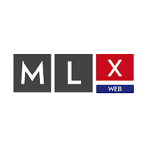 12.MLX-Web